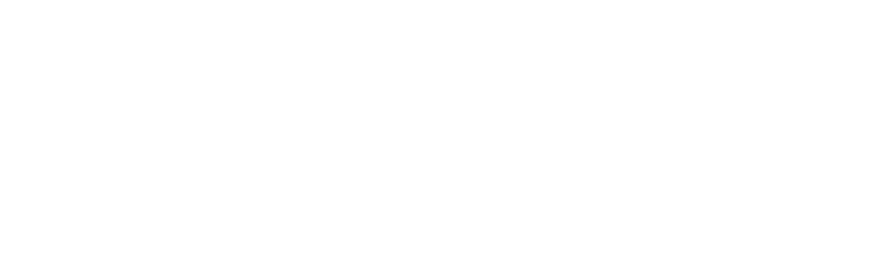 Vela Charter